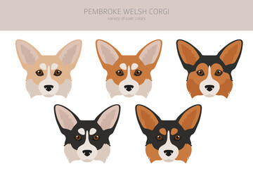 Welsh corgi pembroke clipart. Different poses, coat colors set