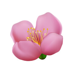 sakura flower cherry pink japanese petal. botanical design. 3d realistic vector illustration