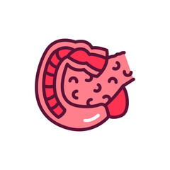 Human organ duodenum line icon. Isolated vector element.