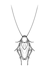 Mustachioed cockroach. Vector illustration in cartoon style on a white background.