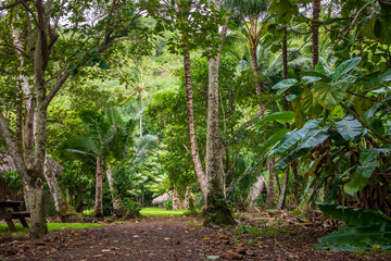 Scenic tropical landscape near Wailua river and Kamokila Hawaiian Village on Kauai Island, Hawaii
