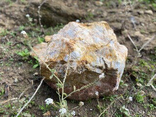 White Stone Shining Like Marble, Stone Among Flowers