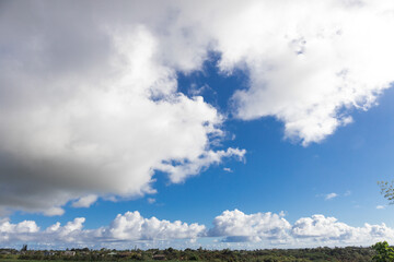 Obraz premium sky, cloud, blue, clouds, nature, landscape, white, summer, view, city, weather, cloudscape, day, panorama, cloudy, air, beautiful, heaven, Kauai, field, light, fluffy, sunny, outdoors, tree, 