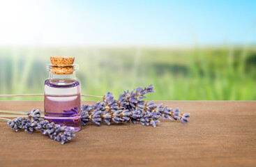 Bottle of essential oil and lavender flowers on field background