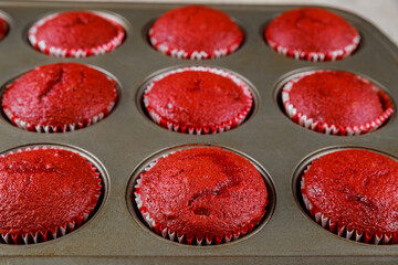 Tasty red velvet cupcakes in oven pen.