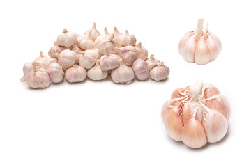 Garlic isolated on a white background.