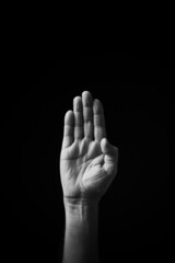 B+W image of hand demonstrating Chinese sign language letter B isolated against black background
