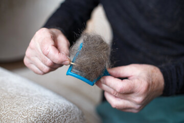 Obraz premium A man's hand holding the cat comb brush with gray fur.
