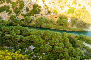amazing beaches of Greece series -preveli (Crete)