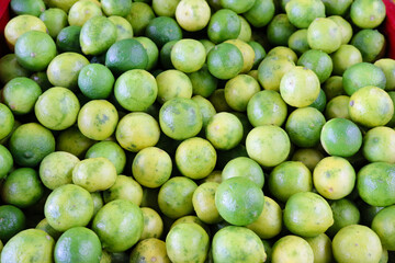 Persian lime
