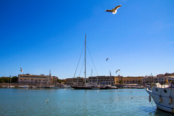 view of the port of Trani with boats, buildings and seagulls