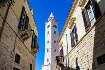 Fototapeta na wymiar view of the bell tower of the church of Trani with buildings in the historic center