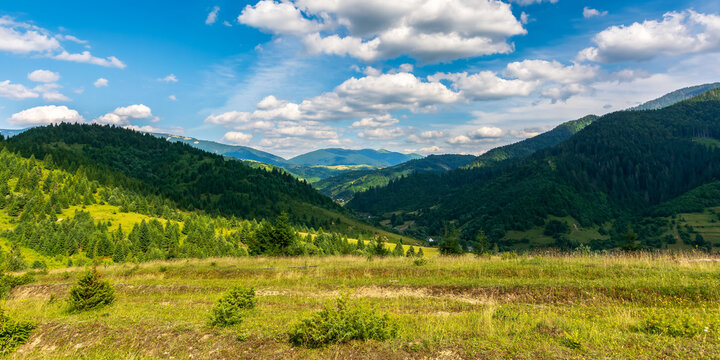 mountainous countryside landscape in summer. forested hill and grassy meadows on a warm sunny day. village in the distant valley beneath a sky with fluffy clouds. transcarpathian rural area