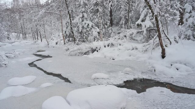Beauty winter landscape with fair trees and river under the snow.
