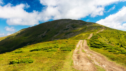 Fototapeta na wymiar trail uphill the petros peak. beautiful summer landscape of carpathian mountains. success and achievement concept. grassy hill beneath a sky with clouds