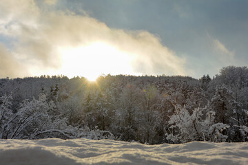 Deep snow with sunrise behind the trees in the forest