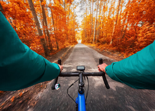 POV shot of a cyclist riding a road bike in the middle of an autumn forest in sunny weather.