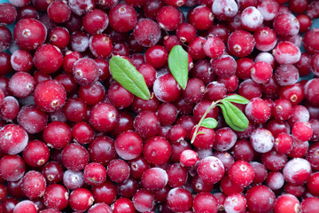 Background with frozen cranberries for the poster. Natural vitamins and antioxidants
