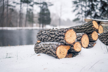 Freshly cut logs covered in fresh snowfall - cold winter day scene
