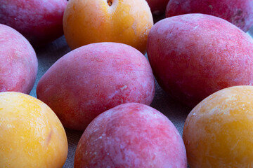 Background with frozen red and yellow plum. Procurement and storage of products. Poster