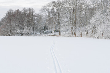 Fototapeta na wymiar Landscape from frozen lake in the countryside in December