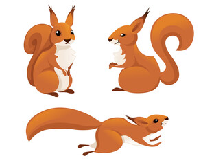Cute little squirrel jumping down. Side view. Cartoon animal character design. Flat vector illustration isolated on white background.