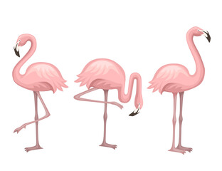 Obraz premium Cute animal, peach pink flamingo. Cartoon animal character design. Flat vector illustration isolated on white background. Flamingo standing on one leg.
