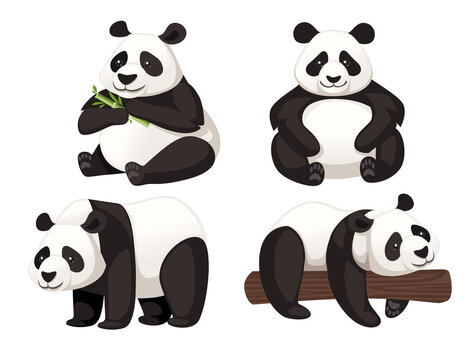 Set of cute funny big panda sit on floor and lying on branch cartoon animal design flat vector illustration