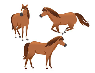 Set of horse wild or domestic animal running cartoon design flat vector illustration isolated on white background