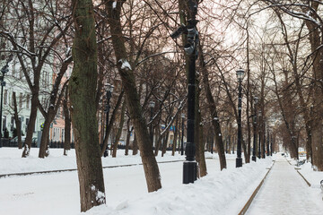 Moscow, Russia, Dec 23, 2021:  Winter weather at Tverskoy boulevard. Trees.
