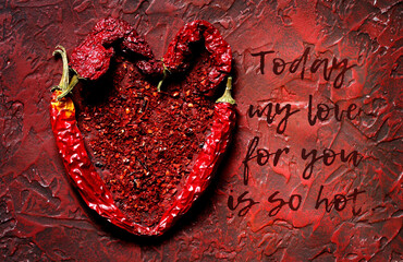 Valentine's day card with the inscription "My heart is burning for you". heart of hot chili peppers on a red background.