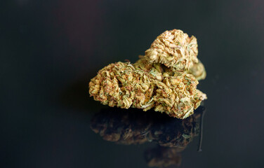 Close-up of medical cannabis flower.