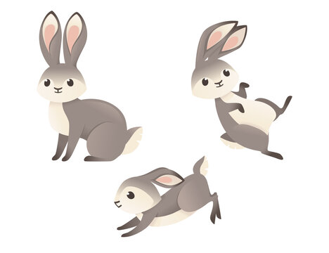 Set of cute grey rabbit sitting on ground cartoon animal design flat vector illustration isolated on white background