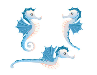 Set pf cute adorable blue seahorse cartoon sea animal design flat vector illustration isolated on white background