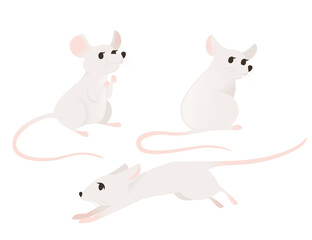 Cute little gray mouse. Cartoon animal character design. Flat vector illustration isolated on white background.