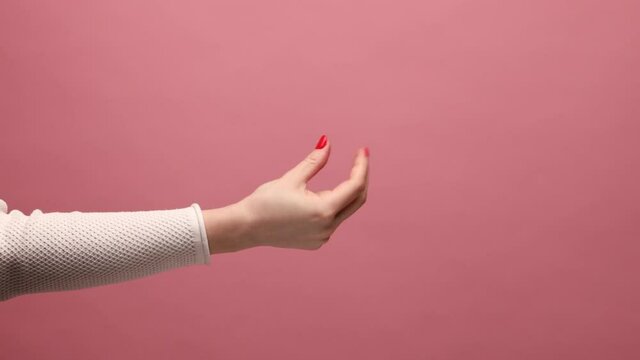 Profile Side View Closeup Of Woman Hand Making Money Gesture, Asking For Payment, Allowance, Italian Gesture With Hand. Indoor Studio Shot Isolated On Pink Background.