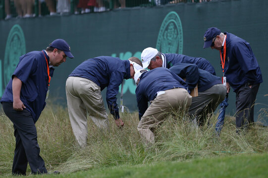 Officials look for a ball hit by Argentina's Angel Cabrera in the fescue grass off of the 17th green during the weather delayed first round of the 2013 U.S. Open golf championship at the Merion Golf Club in Ardmore