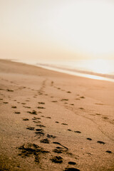 A sandy beach at sunset with footprints
