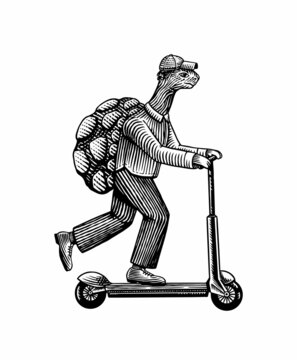 A turtle man in a suit rides a scooter. Food delivery man. Fashion animal character. Hand drawn woodcut outline sketch. Vector engraved illustration for logo and tattoo or T-shirts.