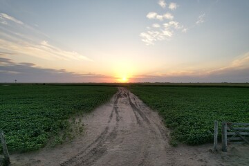 country road at sunset with crops