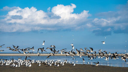 Hilton Head Island, SC