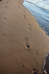 Human footprints on a sandy sea beach stretching into the distance.