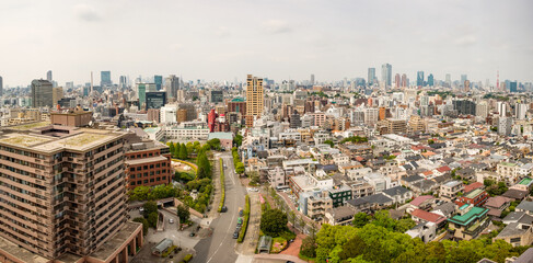 Naklejka premium A panoramic view of the downtown Tokyo skyline