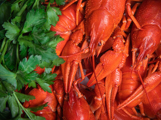 Crayfish party, restaurant, cafe, pub menu.