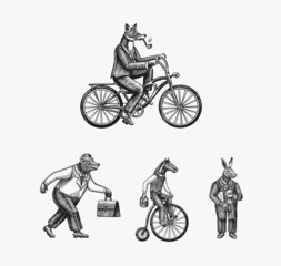 A fox with a pipe in a suit rides a bicycle. Bear and horse and hare. Fashion Animal characters set. Hand drawn sketch. Vector engraved illustration for label, logo and T-shirts or tattoo.