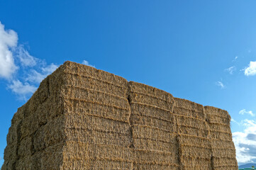 Fototapeta premium Stock de paille