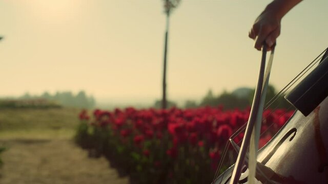 Closeup strings with bow in woman hands. Passionate girl playing cello outdoors.
