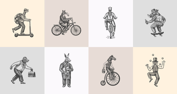Fox on a bicycle, Cat juggler, turtle on a scooter. Bear, horse, hare, Owl, Squid. Fashion Animal characters set. Hand drawn sketch. Vector engraved illustration for label, logo and T-shirts.