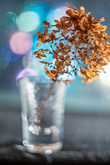 artistic picture with Shallow depth of field -flower in a glass vase and light bokeh