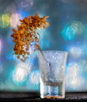 artistic picture with Shallow depth of field -flower in a glass vase and light bokeh